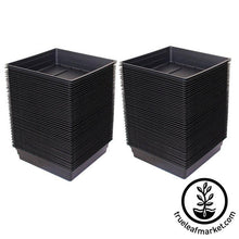 Load image into Gallery viewer, 10 x10 Growing Trays WITH Drain Holes