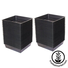 Load image into Gallery viewer, 10 x10 Growing Trays WITHOUT Drain Holes