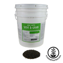 Load image into Gallery viewer, French Lentils (organic) - Bulk Grains & Foods