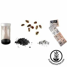 Load image into Gallery viewer, Quaking Aspen Tree Kit