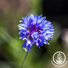 Load image into Gallery viewer, Fast & Easy Bilingual Flower Seed Collection