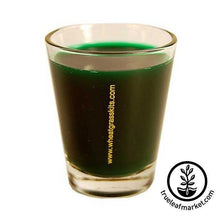 Load image into Gallery viewer, Wheatgrass Shot Glass