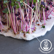 Load image into Gallery viewer, Premium Bamboo Microgreens Grow Mats
