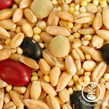 Load image into Gallery viewer, Biblical Bread Grain Mix (organic) - Bulk Grains & Foods