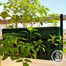 Load image into Gallery viewer, Planter Box