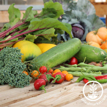 Load image into Gallery viewer, Storage Seeds in a Can