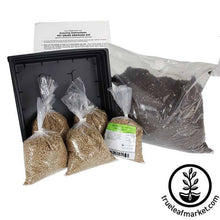 Load image into Gallery viewer, FALSE