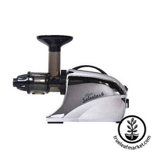 Load image into Gallery viewer, FALSE