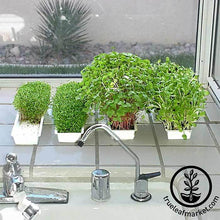 Load image into Gallery viewer, Easygreen Seed and Microgreens Sprouter