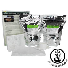 Load image into Gallery viewer, FALSE