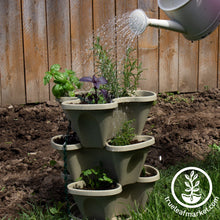 Load image into Gallery viewer, Garden Stacker Planter & Tea, Medicinal Herb Kit