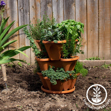 Load image into Gallery viewer, Garden Stacker Planter & Culinary Herb Kit