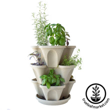 Load image into Gallery viewer, Garden Stacker Planter & Tea, Medicinal Herb Kit