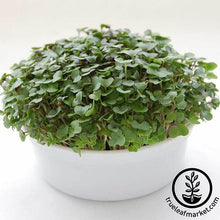 Load image into Gallery viewer, Mini Microgreens Growing Kits