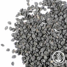 Load image into Gallery viewer, Onion - Sprouting Seeds