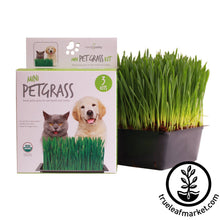 Load image into Gallery viewer, Mini Pet Grass Kit