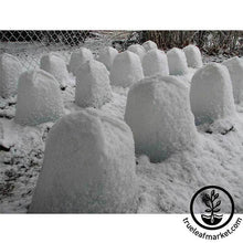 Load image into Gallery viewer, Plant Protector