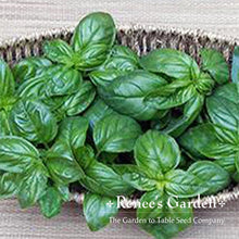 Load image into Gallery viewer, Renees Garden - Basil Lover’s Bonanza Collection