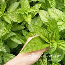 Load image into Gallery viewer, Renees Garden - Basil Lover’s Bonanza Collection