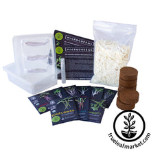 Load image into Gallery viewer, FALSE