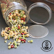 Load image into Gallery viewer, Sprouting Jar Kits