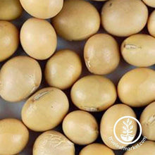 Load image into Gallery viewer, Tofu Kit: Deluxe - Wood Mold