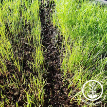 Load image into Gallery viewer, Weather Shield by Safegrow