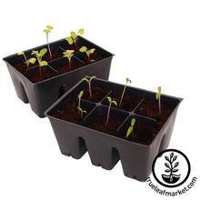 Load image into Gallery viewer, Tray Insert - 36 Cell - 6x6 Nested
