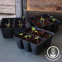 Load image into Gallery viewer, Tray Insert - 48 Cell - 8x6 Nested
