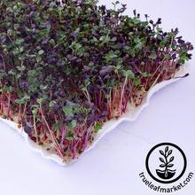 Load image into Gallery viewer, Premium Bamboo Microgreens Grow Mats
