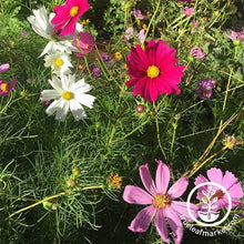 Load image into Gallery viewer, Fast &amp; Easy Bilingual Flower Seed Collection
