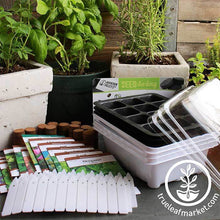 Load image into Gallery viewer, Seed Starter Kit - Culinary Herb
