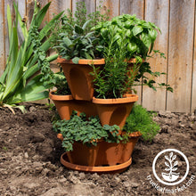 Load image into Gallery viewer, Garden Stacker Planter &amp; Tea, Medicinal Herb Kit
