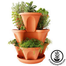 Load image into Gallery viewer, Garden Stacker Planter &amp; Culinary Herb Kit

