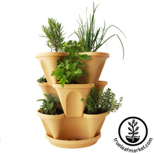 Load image into Gallery viewer, Garden Stacker Planter &amp; Culinary Herb Kit
