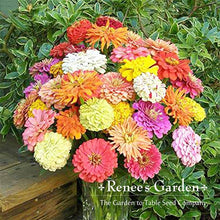 Load image into Gallery viewer, Renees Garden - Pollinator Flower Seed Collection

