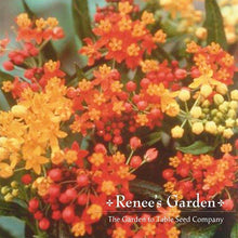 Load image into Gallery viewer, Renees Garden - Pollinator Flower Seed Collection
