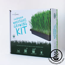 Load image into Gallery viewer, Starter Organic Wheatgrass Growing Kit
